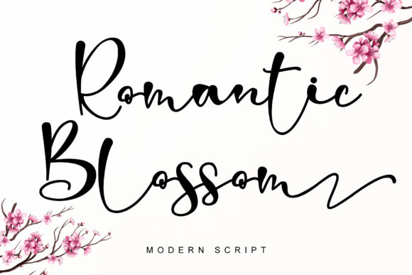 Beautiful Script Font for Marketing