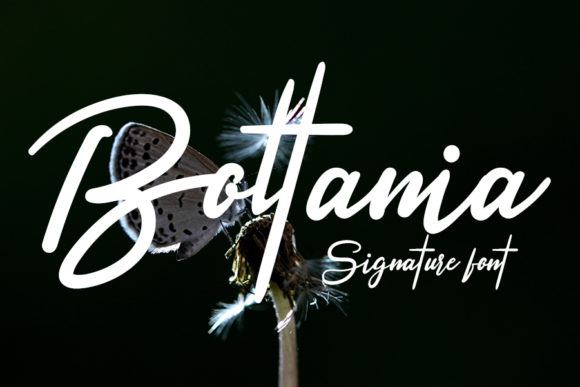Boltania: A Luxurious Handwritten Font