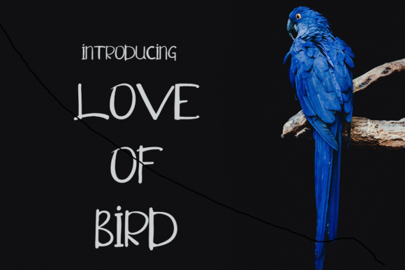 Love of Bird: A Sweet Script for Creative Projects