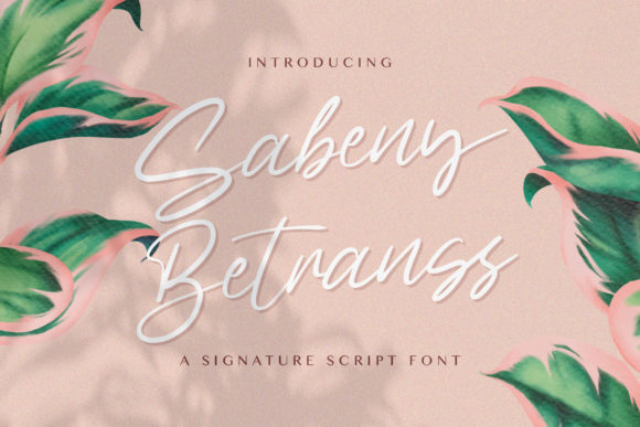 Sabeny Betranss: A Beautiful Font for Business